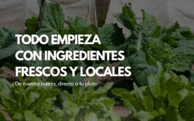 Catering en Salamanca: comida sostenible y de proximidad, directa de la huerta a tu mesa