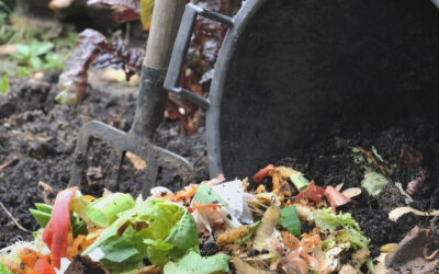 Residuos orgánicos: el secreto del catering en Salamanca con verdadero desperdicio cero